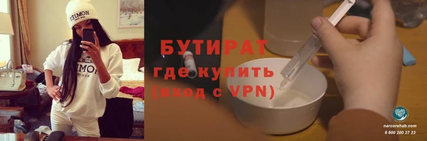 индика Пестово