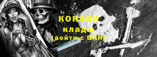 стафф Алзамай