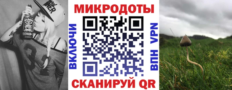 где купить наркоту  Межгорье  Псилоцибиновые грибы мицелий 